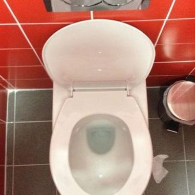 Why You Should Close the Toilet Lid Before you Flush! - Sparkle & Shine